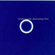 Le texte musical PUSH UPSTAIRS de UNDERWORLD est également présent dans l'album Beaucoup fish (1999)