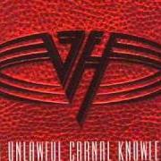 Le texte musical POUNDCAKE de VAN HALEN est également présent dans l'album For uniawful carnal knowledge (1991)