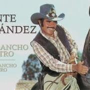 Le texte musical APRENDISTE A VOLAR de VICENTE FERNANDEZ est également présent dans l'album De un rancho a otro (1984)