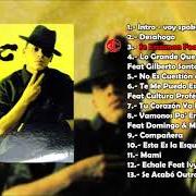 Le texte musical TE ME PUEDO ESCAPAR de VICO C est également présent dans l'album Desahogo (2005)