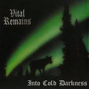 Le texte musical DESCENT INTO HELL de VITAL REMAINS est également présent dans l'album Into cold darkness (1995)