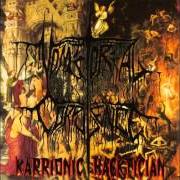 Le texte musical FIRST YOU SUFFER THEN YOU DIE de VOMITORIAL CORPULENCE est également présent dans l'album Karrionic hacktician (1995)
