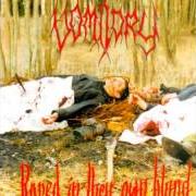 Le texte musical THROUGH SEPULCHRAL SHADOWS de VOMITORY est également présent dans l'album Raped in their own blood (1996)