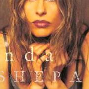 Le texte musical NEWSPAPER WIFE de VONDA SHEPARD est également présent dans l'album By 7:30 (1999)