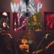 Le texte musical THE HORROR de W.A.S.P. est également présent dans l'album Double live assassins (1998)
