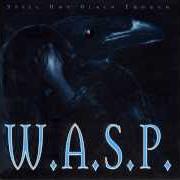 Le texte musical STILL NOT BLACK ENOUGH de W.A.S.P. est également présent dans l'album Still not black enough (1995)