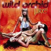 Le texte musical CANDLE LIGHT de WILD ORCHID est également présent dans l'album Fire