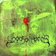 Le texte musical WET LEATHER de WOODS OF YPRES est également présent dans l'album Woods iv: the green album (2009)