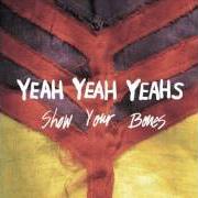 Le texte musical FANCY de YEAH YEAH YEAHS est également présent dans l'album Show your bones (2006)