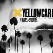 Le texte musical HOLLY WOOD DIED de YELLOWCARD est également présent dans l'album Lights and sounds (2006)