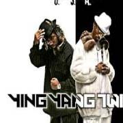 Le texte musical THEM BRAVES de YING YANG TWINS est également présent dans l'album Me & my brother (2003)