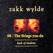 Le texte musical WHAT YOU'RE LOOKIN' FOR de ZAKK WYLDE est également présent dans l'album Book of shadows (1996)