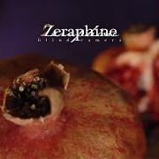 Le texte musical HOLLOW SKIES de ZERAPHINE est également présent dans l'album Blind camera (2005)