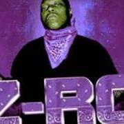 Le texte musical PAIN de Z-RO est également présent dans l'album King of da ghetto (2001)