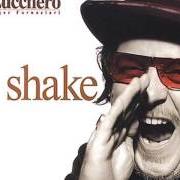 Le texte musical I'M IN TROUBLE de ZUCCHERO est également présent dans l'album Shake (2001)