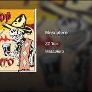 Le texte musical ME SO STUPID de ZZ TOP est également présent dans l'album Mescalero (2003)