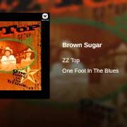 Le texte musical HEAVEN, HELL, OR HOUSTON de ZZ TOP est également présent dans l'album One foot in the blues (1994)