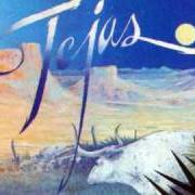 Le texte musical ENJOY AND GET IT ON de ZZ TOP est également présent dans l'album Tejas (1976)