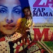 Le texte musical ZAP BÉBÉS de ZAP MAMA est également présent dans l'album Ancestry in progress (2004)