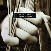 Le texte musical LITTLE DO THEY KNOW de CAPERCAILLIE est également présent dans l'album Choice language