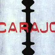 Le texte musical SALVAJE de CARAJO est également présent dans l'album Carajografia (2003)