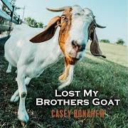 Le texte musical BEER TASTES GOOD (LIVE ACOUSTIC) FEAT. CHRIS COLSTON de CASEY DONAHEW BAND est également présent dans l'album Lost my brothers goat (2020)