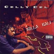 Le texte musical SKANLEZZ ASS BYTCHEZ de CELLY CEL est également présent dans l'album Killa kali (1996)