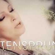 Le texte musical NICHT NUR EINE NACHT de CLAUDIA JUNG est également présent dans l'album Seitensprung (2015)