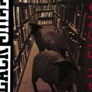 Le texte musical CITY LIGHTS de BLACK SHEEP est également présent dans l'album Non-fiction (1994)