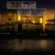 Le texte musical TRADE de BOB MOULD est également présent dans l'album Modulate (2002)