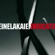 Le texte musical ALONG OUR ROAD de DEINE LAKAIEN est également présent dans l'album Indicator (2010)