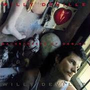 Le texte musical BAMBOO ROAD de WILLY DEVILLE est également présent dans l'album Backstreets of desire (1994)