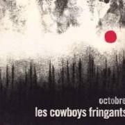 Le texte musical LES VERS DE TERRE de LES COWBOYS FRINGANTS est également présent dans l'album Octobre (2015)