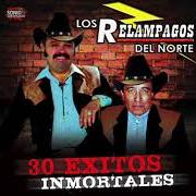 Le texte musical REZANDO POR ELLA de LOS CADETES DE LINARES est également présent dans l'album Las más canonas (2006)