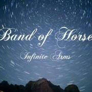 Le texte musical INFINITE ARMS de BAND OF HORSES est également présent dans l'album Infinite arms (2010)