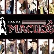 Le texte musical ATAQUES DE ANSIEDAD de BANDA MACHOS est également présent dans l'album Si volviera a nacer (2013)
