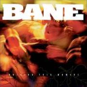 Le texte musical EVERY EFFORT MADE de BANE est également présent dans l'album Holding this moment (1998)
