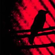 Le texte musical THIS GENTLE HEARTS LIKE SHOT BIRDS FALLEN de A SILVER MT. ZION est également présent dans l'album Born into trouble as the sparks fly upward (2001)