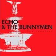 Le texte musical THE IDOLNESS OF GODS de ECHO AND THE BUNNYMEN est également présent dans l'album The fountain (2009)