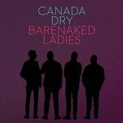 Le texte musical DUSTY ROOMS de BARENAKED LADIES est également présent dans l'album Fake nudes (2017)