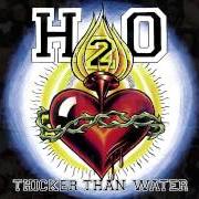 Le texte musical ROLE MODEL de H2O est également présent dans l'album Go! (2001)