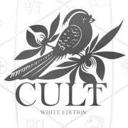 Le texte musical SOMETHING'S WRONG de BAYSIDE est également présent dans l'album Cult (2014)