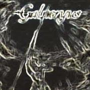 Le texte musical FATE OF THE SADNESS de GALNERYUS est également présent dans l'album Advance to the fall (2005)