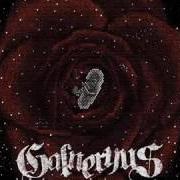Le texte musical SHINING MOMENTS de GALNERYUS est également présent dans l'album Reincarnation (2008)
