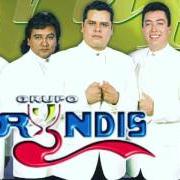 Le texte musical SI ME QUISIERAS UN POQUITO de GRUPO BRYNDIS est également présent dans l'album Solo pienso en ti (2007)
