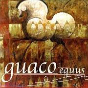 Le texte musical UN SEGUNDO ME BASTÓ de GUACO est également présent dans l'album Equus (2006)