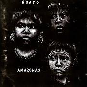 Le texte musical CAUSAS de GUACO est également présent dans l'album Amazonas (1997)