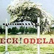 Le texte musical JACK-ASS de BECK est également présent dans l'album Odelay (1996)
