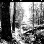 Le texte musical TRANSYLVANIAN FOREST de BEHEMOTH est également présent dans l'album Chaotica - the essence of the underworld (1998)