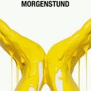 Le texte musical AVALANCHE de SCHILLER est également présent dans l'album Morgenstund (2019)
